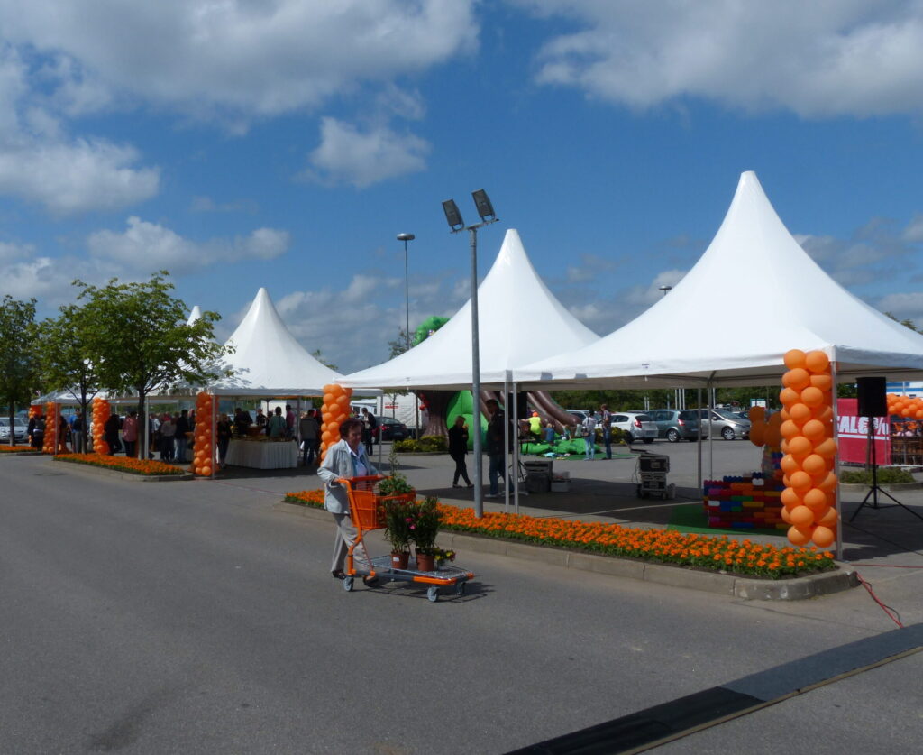 cropped-288-scaled-1